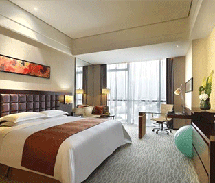 酒店洗衣房購(gòu)買2臺(tái)0.5燃?xì)庹羝l(fā)生器